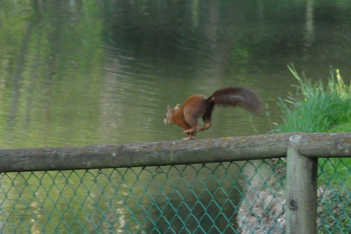 La Maison De Juliette Auxerre Magasin De Meubles Adresse Avis